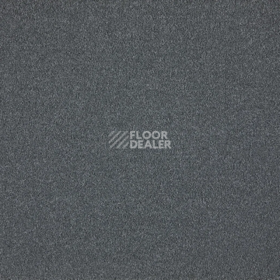 Ковролин AW Westminster 79 фото 1 | FLOORDEALER